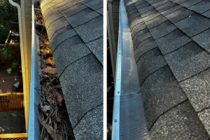 Residential Gutter Cleaning
