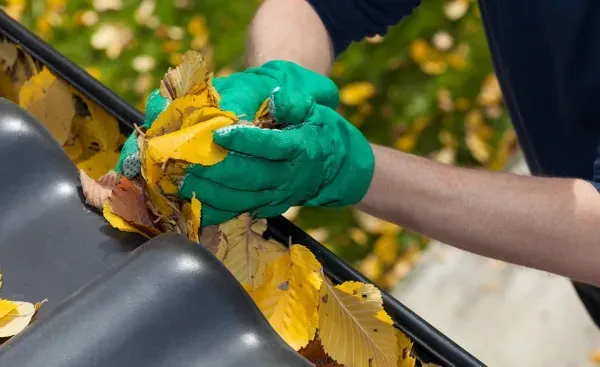 What makes our debris removal service different