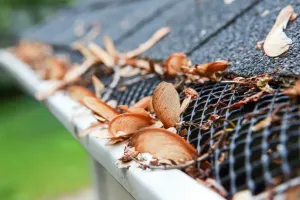 After-Storm Gutter Cleanup