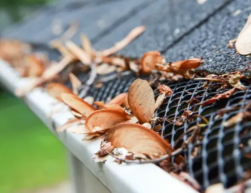 Why pre-winter gutter cleaning matters in metro Atlanta