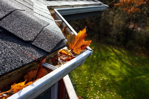 Gutter cleaning and debris removal in Atlanta, GA
