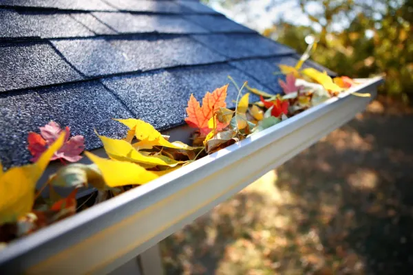 Residential gutter cleaning in Acworth, GA