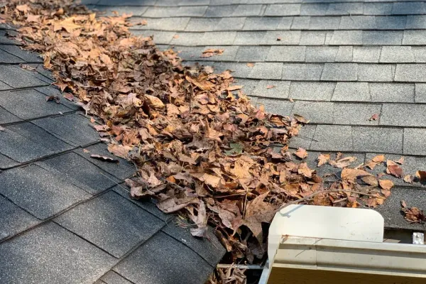 Gutter inspection and damage assessment in Atlanta, GA
