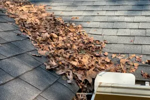 Gutter Inspection