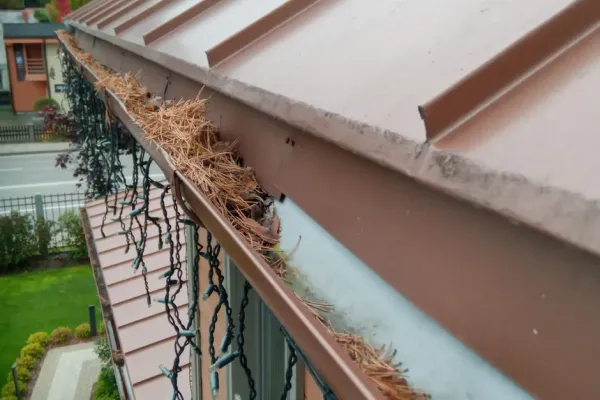Smyrna gutter cleaning realities