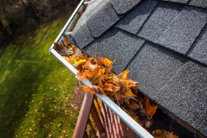 Minor Gutter Repair