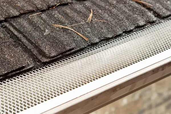 Residential gutter cleaning in Sandy Springs, GA
