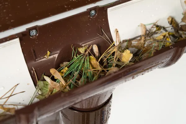 How often should you clean gutters in Georgia?