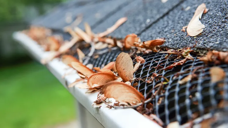 Gutter cleaning in Smyrna, GA