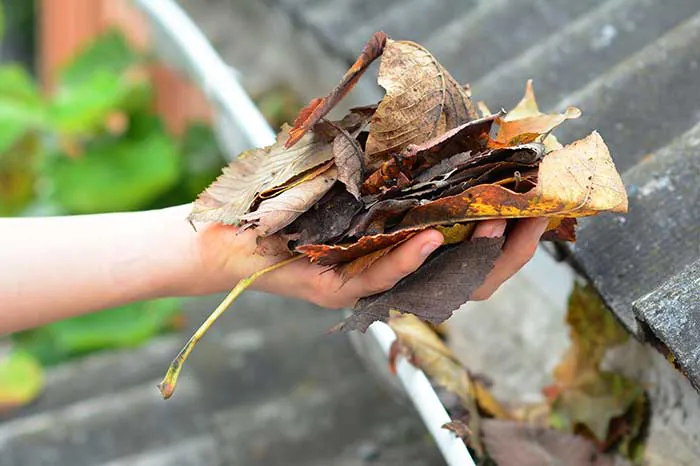 Gutter inspection and damage assessment in Alpharetta, GA