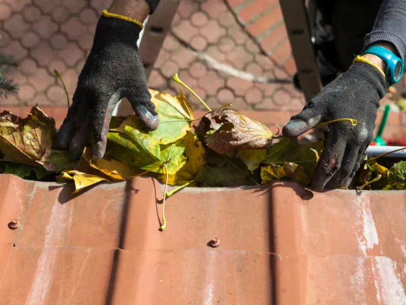Commercial gutter maintenance that protects your business investment